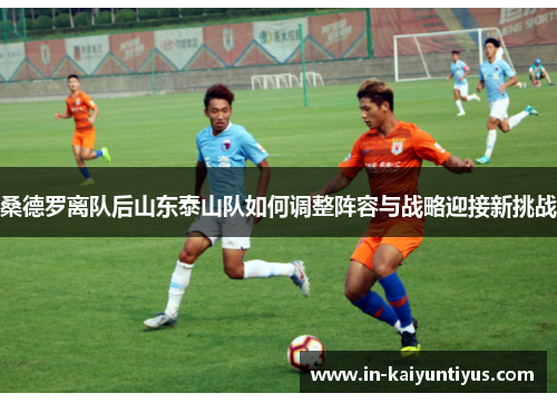 桑德罗离队后山东泰山队如何调整阵容与战略迎接新挑战
