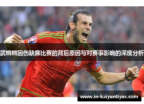 武桐桐因伤缺席比赛的背后原因与对赛事影响的深度分析