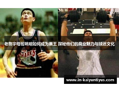 老詹字母哥姚明如何成为票王 探秘他们的商业魅力与球迷文化