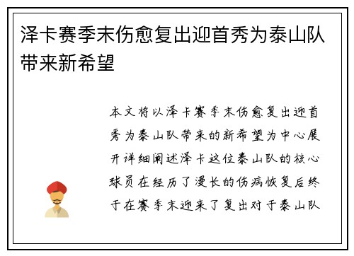 泽卡赛季末伤愈复出迎首秀为泰山队带来新希望 泽卡赛季末伤愈复出迎首秀为泰山队带来新希望